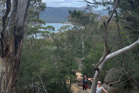 Wineglass Bay And Freycinet National Park Active Day Trip From Hobart - Holiday Adelaide 14