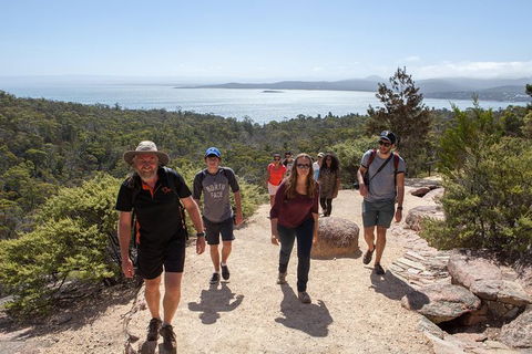Wineglass Bay And Freycinet National Park Active Day Trip From Hobart - Holiday Adelaide 26