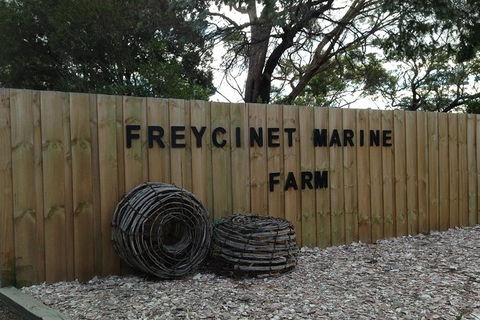 Wineglass Bay And Freycinet National Park Active Day Trip From Hobart - Holiday Adelaide 20