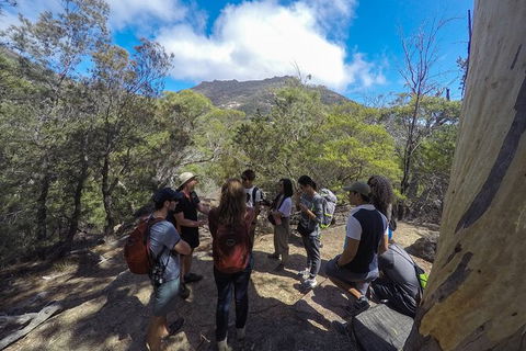 Wineglass Bay And Freycinet National Park Active Day Trip From Hobart - Holiday Adelaide 9