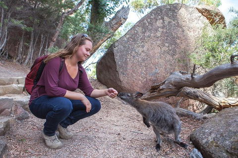Wineglass Bay And Freycinet National Park Active Day Trip From Hobart - Holiday Adelaide 31