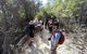 Wineglass Bay And Freycinet National Park Active Day Trip From Hobart - thumb 19