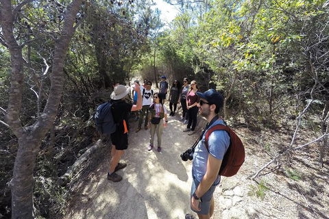 Wineglass Bay And Freycinet National Park Active Day Trip From Hobart - Holiday Adelaide 19