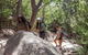 Wineglass Bay And Freycinet National Park Active Day Trip From Hobart - thumb 22