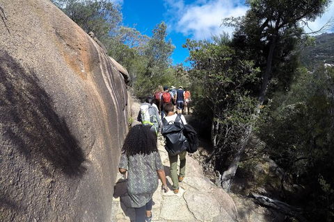 Wineglass Bay And Freycinet National Park Active Day Trip From Hobart - Holiday Adelaide 21