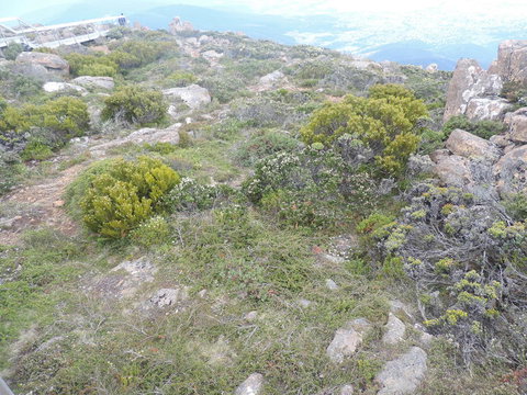 Mt Wellington Tour And MONA Admission - Holiday Adelaide 8