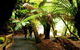2-Day: Hiking Tour: Maria Island & Mount Field - thumb 4