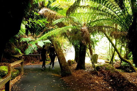 2-Day: Hiking Tour: Maria Island & Mount Field - Holiday Adelaide 4