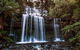 2-Day: Hiking Tour: Maria Island & Mount Field - thumb 10