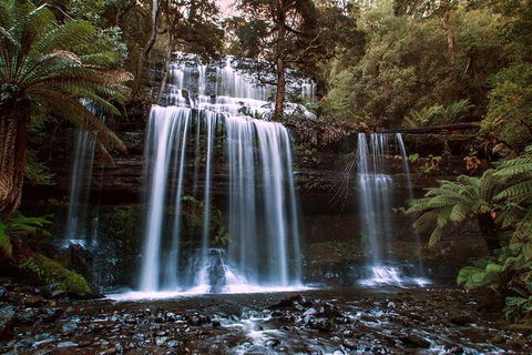 2-Day: Hiking Tour: Maria Island & Mount Field - Holiday Adelaide 10