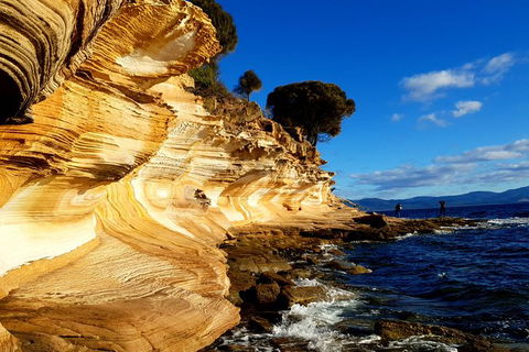 2-Day: Hiking Tour: Maria Island & Mount Field - Holiday Adelaide 7
