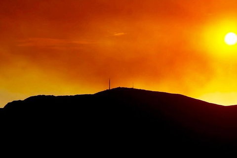 Half-Day Mt Wellington Summit Tour From Hobart - Holiday Adelaide 1