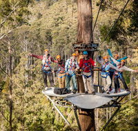Hollybank Wilderness Adventure - Zipline Tours