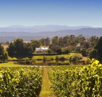 Josef Chromy Wines Winery Tour Including Tasting and Lunch