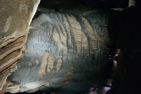 Leven Canyon And Gunns Plains Caves - Holiday Adelaide 3