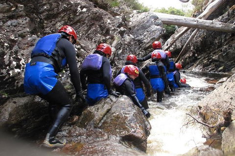 Half Day Cradle Mountain Canyoning: Lost World Canyon - Holiday Adelaide 1