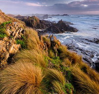 4-Day Tarkine Wilderness Photography Workshop