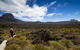 6-Day Overland Track PhotoTour - thumb 0