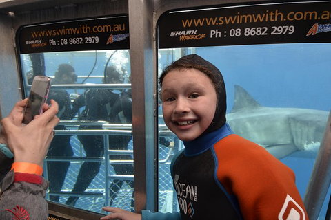 White Shark Tour With Optional Cage Dive From Port Lincoln - Holiday Adelaide 8