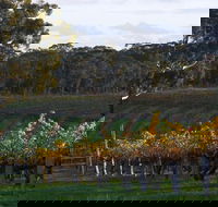 Barossa Valley with Hahndorf Tour from Adelaide - Holiday Adelaide