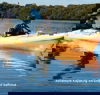 Adelaide Dolphin Sanctuary and Ships Graveyard Kayak Tour - Holiday Adelaide