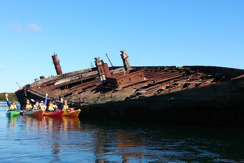 Adelaide Dolphin Sanctuary And Ships Graveyard Kayak Tour - Holiday Adelaide 1