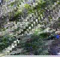 Self-Guided Waterfall Gully to Mount Lofty Hike from Adelaide - Holiday Adelaide