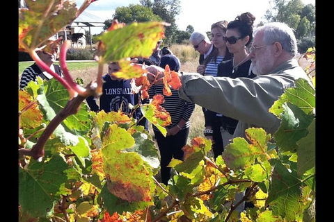 Barossa Valley Via Hahndorf ( Historical German Village ) Inc Maggie Beers Farm - Holiday Adelaide 4