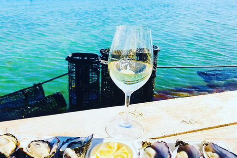Coffin Bay Oyster Farm & Tasting Tour - Holiday Adelaide 11