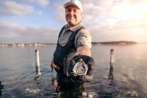 Coffin Bay Oyster Farm & Tasting Tour - Holiday Adelaide 3