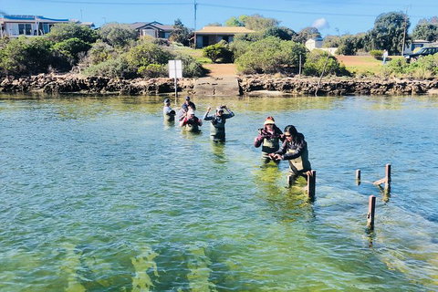 Coffin Bay Oyster Farm & Tasting Tour - Holiday Adelaide 6
