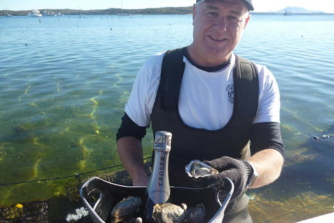 Coffin Bay Oyster Farm & Tasting Tour - Holiday Adelaide 2