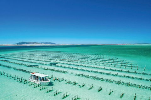 Coffin Bay Private Day Tour From Port Lincoln - A Taste Of Coffin Bay - Holiday Adelaide 0