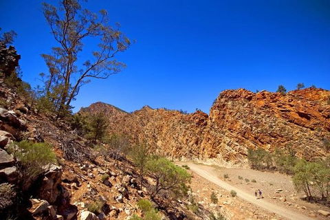 Lake Eyre And Flinders Ranges 4 Day Small Group 4WD Eco Safari - Holiday Adelaide 1