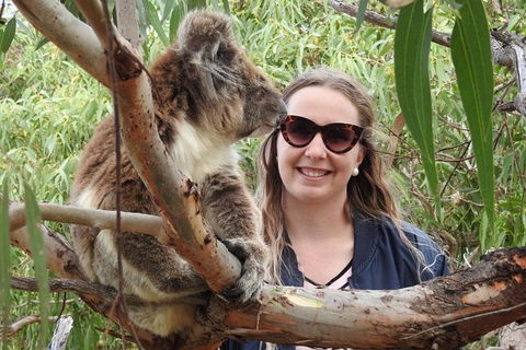 One Day Port Lincoln Tour - Tasting Eyre - Holiday Adelaide 0