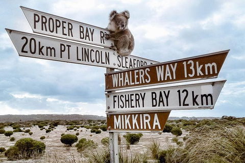 One Day Port Lincoln Tour - Tasting Eyre - Holiday Adelaide 4