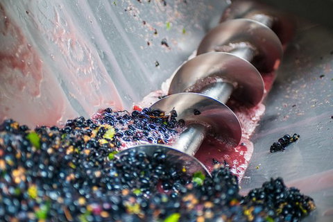 The Ultimate Shottesbrooke Wine & Food Experience - Holiday Adelaide 9