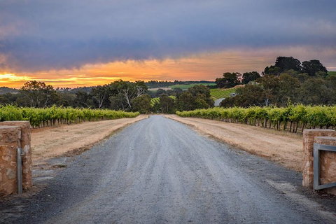 The Ultimate Shottesbrooke Wine & Food Experience - Holiday Adelaide 2