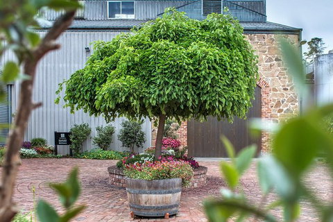 The Ultimate Shottesbrooke Wine & Food Experience - Holiday Adelaide 4