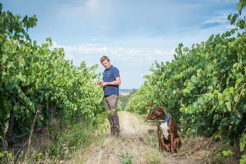 The Ultimate Shottesbrooke Wine & Food Experience - Holiday Adelaide 7