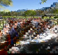 McLaren Vale Wine Tour