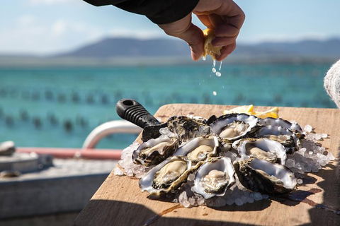 Experience Coffin Bay Oyster Farm And Bay Tour - Holiday Adelaide 0