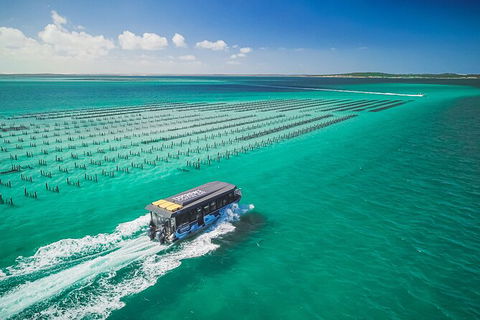 Experience Coffin Bay Oyster Farm And Bay Tour - Holiday Adelaide 2