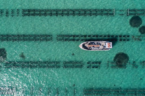 Experience Coffin Bay Oyster Farm And Bay Tour - Holiday Adelaide 4