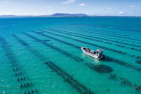 Experience Coffin Bay Oyster Farm And Bay Tour - Holiday Adelaide 10