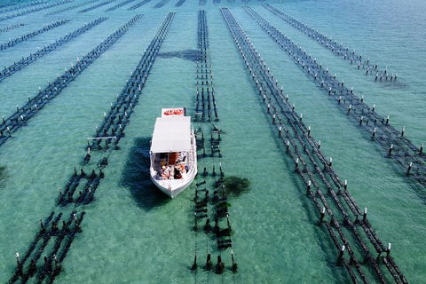 Experience Coffin Bay Oyster Farm And Bay Tour - Holiday Adelaide 8
