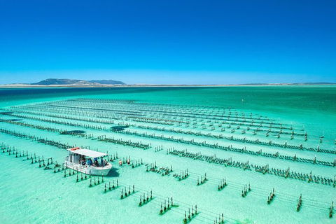 Experience Coffin Bay Oyster Farm And Bay Tour - Holiday Adelaide 7