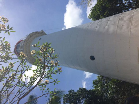 Great Barrier Reef Sailing And Snorkeling Cruise From Port Douglas - Holiday Adelaide 2