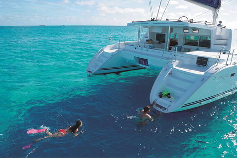Great Barrier Reef Sailing And Snorkeling Cruise From Port Douglas - Holiday Adelaide 6