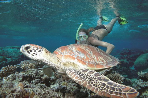 Great Barrier Reef Sailing And Snorkeling Cruise From Port Douglas - Holiday Adelaide 5